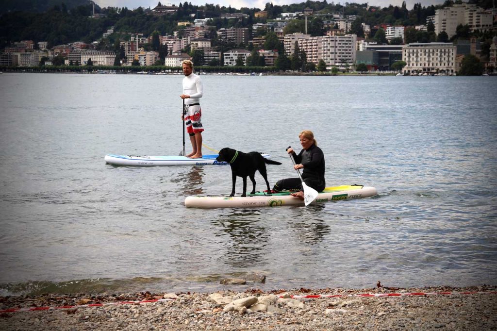 sup-dog-2_1280x853